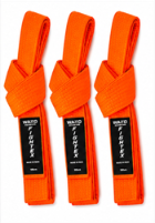 FIGHTEX Premium Kickboxing Belts | WAKO Style Martial Arts Rank Belts | Available in 8 Colors (Copy)
