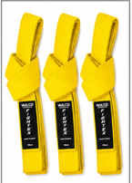 FIGHTEX Premium Kickboxing Belts | WAKO Style Martial Arts Rank Belts | Available in 8 Colors (Copy)